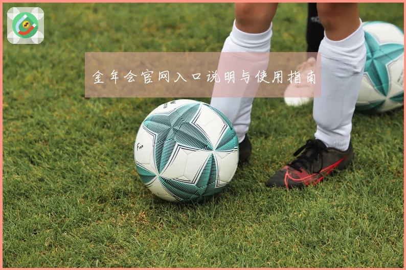 金年会官网入口说明与使用指南